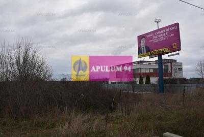 Teren Construcții intravilan de 3600 mp, în 1 Decembrie - 3