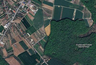 Teren de 496 mp, în Snagov - 6