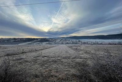 RECO teren Vadu Crisului - 2