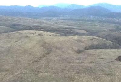 Teren de 3700 mp, în Dalboșeț - 7