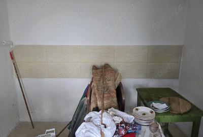 Vanzare 2 case Comuna Vulturesti Judetul Arges - 6