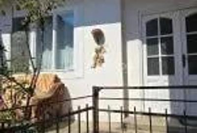 Resita, de vanzare casa, doua corpuri, curte, zona centrala - 4