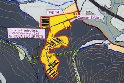 Teren Intravilan - Amplasare Unica - 28