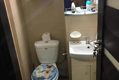 Apartament cu 2 camere semidecomandat în Valea Rosie - 7