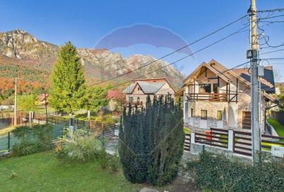 De vanzare | Vila cu 3 camere de vanzare in zona Piatra Arsa, Busteni - 5