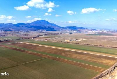 Teren de 19239 mp, în Vulcan - 7