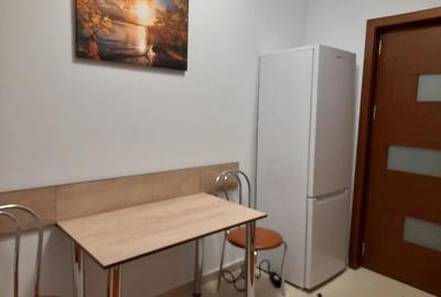 Vand apartament 1 camera Valea Lupului - 3