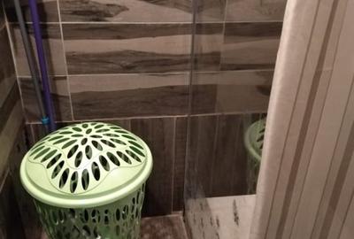 Garsonieră decomandată în Nicolina - 6