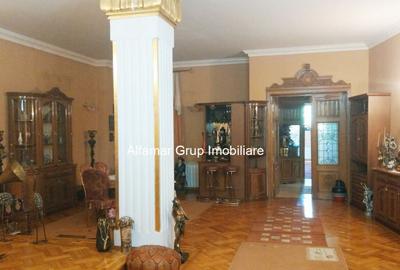 Vila 9 camere Cotroceni- Parcul Operei - 9