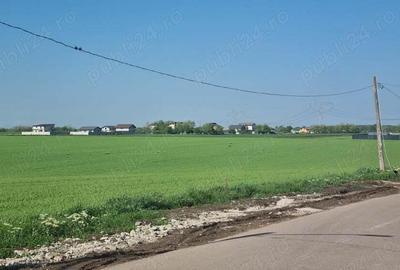 Frumusani Postavari Loturi Teren Rezidentiale - 2