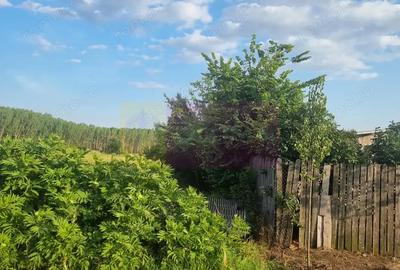 Teren de 4200 mp, în Teișori - 5