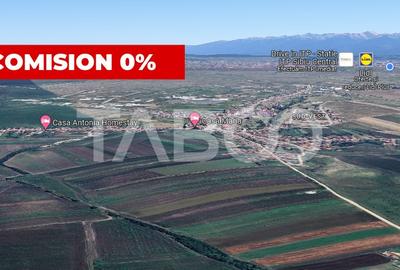 Oportunitate investitie 28000 mp in Sura Mica judetul Sibiu - 1