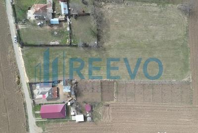 Teren de 4000 mp, în Bazga - 10