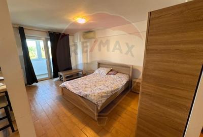 Apartament cu 1 camere de inchiriat in zona Cornitoiu - 2