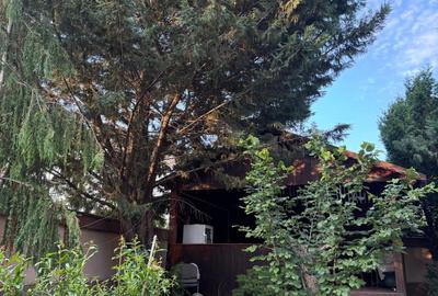 Vila de vanzare ultracentral Focsani, strada N . Titulescu, nr 2 bis - 5