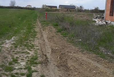 Vanzare teren padurea bistra - 5