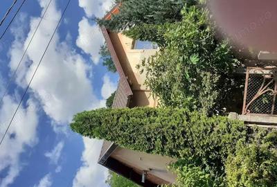 Casă cu 3 camere în Doman - 2