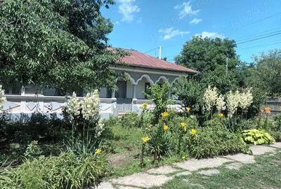 Casa Crevedia Mare Giurgiu - 7