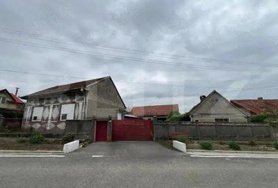 Casa 266 mp, 3992 mp teren, garaj, terasa, Topolovatu Mare-Timisoara