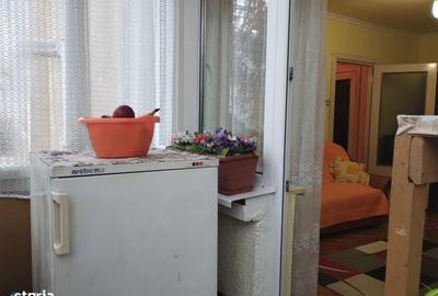 Apartament cu 2 camere în Gojdu - 10