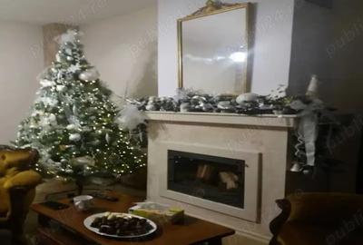 Vila spatioasa de inchiriat - la intrare in Dumbravita dinspre Timisoara - 5