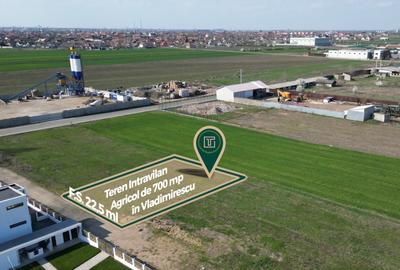 Teren intravilan de 700 mp, în Vladimirescu - 2