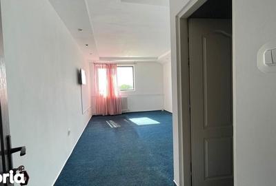 Spațiu comercial, de 2,100 mp, în Borș - 11