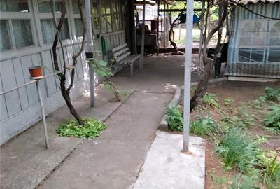 Casă cu 3 camere în Glodeanu-Siliștea - 9