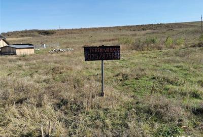 Teren de 5000 mp, în Ciurea - 1