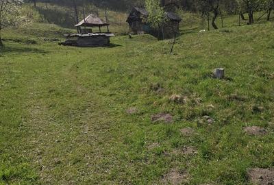 Spațiu comercial, în Valea Vișeului - 4