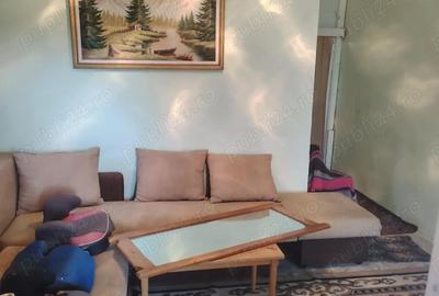 Casă cu 6 camere cu Teren 6000 Mp în Diviciorii Mici - 7