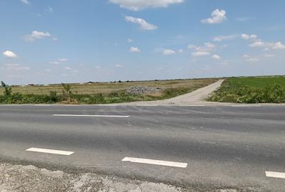 Teren Construcții intravilan de 810 mp, în Săcălaz - 1