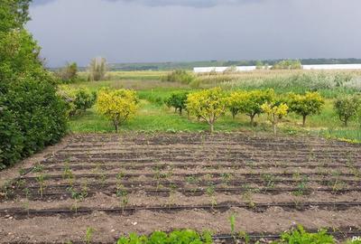 Casă cu 4 camere cu Teren 10000 Mp în Munteni - 2
