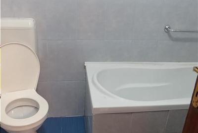 2 camere + receptie parter cladire interbelica Pache P-Plantelor - 9