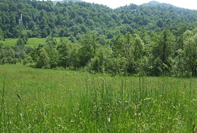 Spațiu comercial, în Hârja - 2