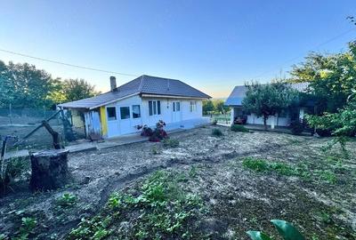 Casă cu Teren 2700 Mp în Scoposeni (Gorban) - 2