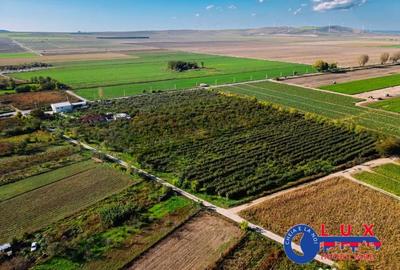 Teren de 44999 mp, în Sabangia - 18