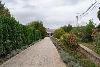 Casă individuală cu 5 camere cu Canalizare în Bucium - 42