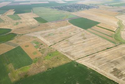 Teren arabil de 40 hectare in Zarand - 4