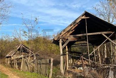 Casă cu 3 camere cu Teren 2650 Mp în Burzuc - 6