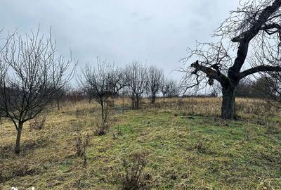 Teren de 1765 mp, în Orașul Nou - 5