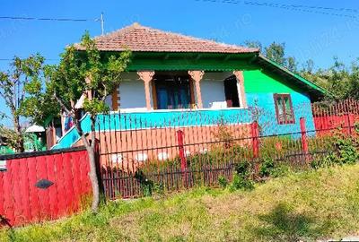 Casă în Suceveni - 1