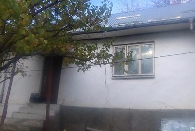 Vand casa batraneasca - 2