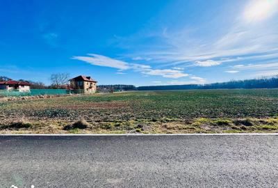 Teren de 1600 mp, în Snagov