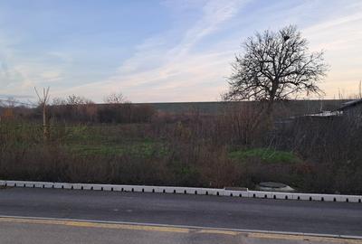 Teren în Cornetu - 6