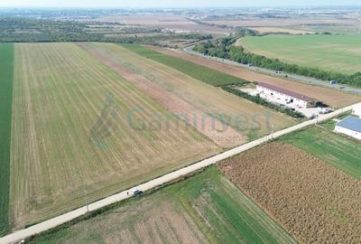 Gaminvest Teren intravilan de vanzare, 66400 mp, langa Oradea, Bihor ,V4117 - 2