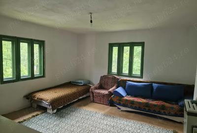 Vand casa in zona de munte, com. Podeni, jud. Mehedin?i. - 4