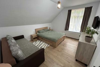 Casă cu 3 camere în Dealu Negru - 8