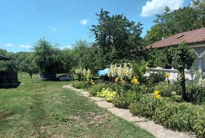 Casa Crevedia Mare Giurgiu Casa Crevedia Mare Giurgiu - 1