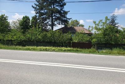 Teren de 2700 mp, în Dobrești - 15